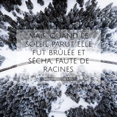 Picture 07 - Matthieu 13:6 LSG - mais, quand le soleil parut, elle fut brûlée et - Bible Verse Picture