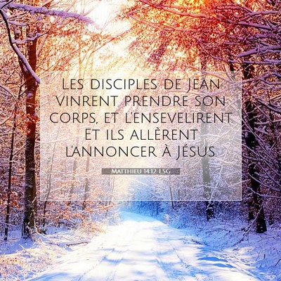 Picture 07 - Matthieu 14:12 LSG - Les disciples de Jean vinrent prendre son corps, - Bible Verse Picture
