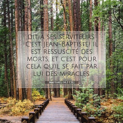 Picture 07 - Matthieu 14:2 LSG - dit à ses serviteurs: C'est Jean-Baptiste! Il - Bible Verse Picture