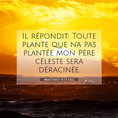 Picture 07 - Matthieu 15:13 LSG - Il répondit: Toute plante que n'a pas plantée - Bible Verse Picture