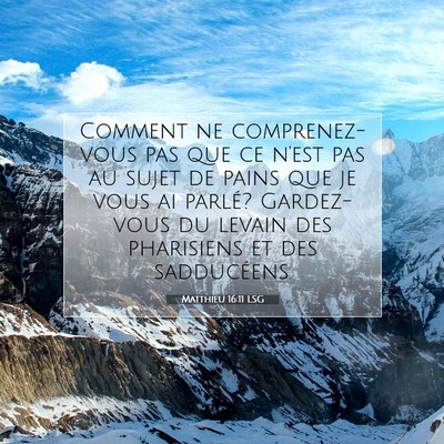 Picture 07 - Matthieu 16:11 LSG - Comment ne comprenez-vous pas que ce n'est pas au - Bible Verse Picture