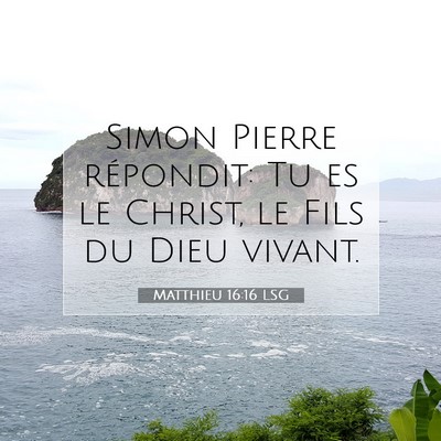 Picture 07 - Matthieu 16:16 LSG - Simon Pierre répondit: Tu es le Christ, le Fils - Bible Verse Picture