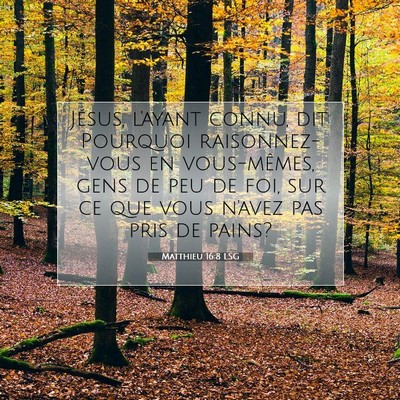 Picture 07 - Matthieu 16:8 LSG - Jésus, l'ayant connu, dit: Pourquoi - Bible Verse Picture