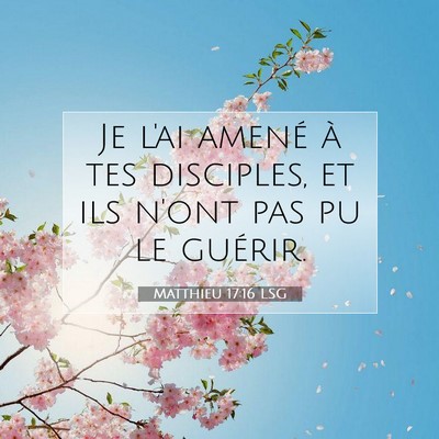 Picture 07 - Matthieu 17:16 LSG - Je l'ai amené à tes disciples, et ils n'ont pas - Bible Verse Picture