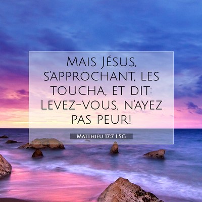 Picture 07 - Matthieu 17:7 LSG - Mais Jésus, s'approchant, les toucha, et dit: - Bible Verse Picture