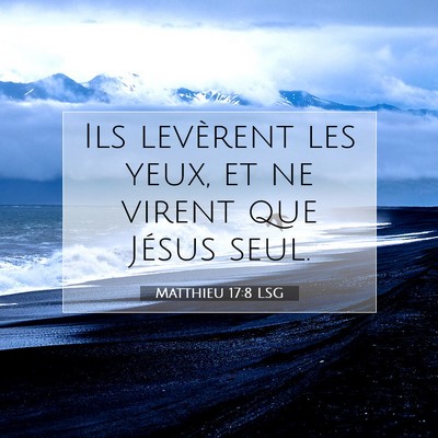 Picture 07 - Matthieu 17:8 LSG - Ils levèrent les yeux, et ne virent que Jésus - Bible Verse Picture