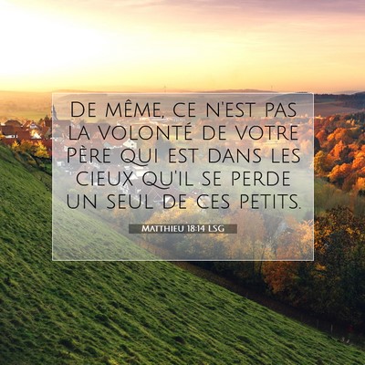 Picture 07 - Matthieu 18:14 LSG - De même, ce n'est pas la volonté de votre Père - Bible Verse Picture