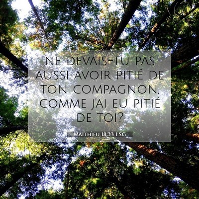 Picture 07 - Matthieu 18:33 LSG - ne devais-tu pas aussi avoir pitié de ton - Bible Verse Picture