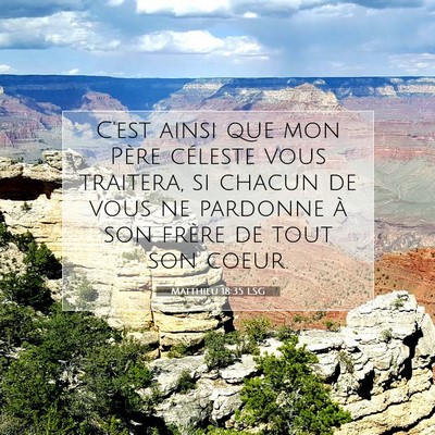 Picture 07 - Matthieu 18:35 LSG - C'est ainsi que mon Père céleste vous traitera, - Bible Verse Picture