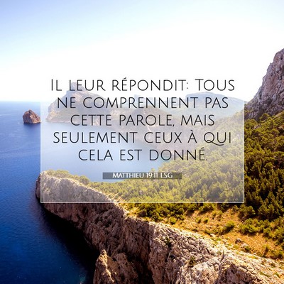 Picture 07 - Matthieu 19:11 LSG - Il leur répondit: Tous ne comprennent pas cette - Bible Verse Picture