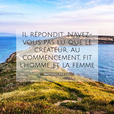 Picture 07 - Matthieu 19:4 LSG - Il répondit: N'avez-vous pas lu que le - Bible Verse Picture