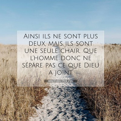 Picture 07 - Matthieu 19:6 LSG - Ainsi ils ne sont plus deux, mais ils sont une - Bible Verse Picture