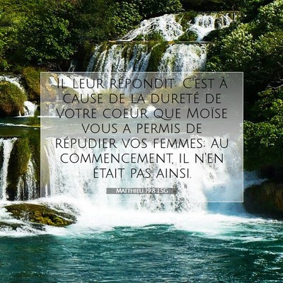 Picture 07 - Matthieu 19:8 LSG - Il leur répondit: C'est à cause de la dureté - Bible Verse Picture