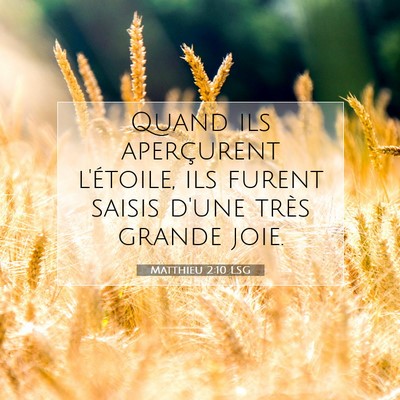 Picture 07 - Matthieu 2:10 LSG - Quand ils aperçurent l'étoile, ils furent - Bible Verse Picture