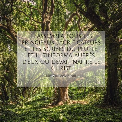 Picture 07 - Matthieu 2:4 LSG - Il assembla tous les principaux sacrificateurs et - Bible Verse Picture