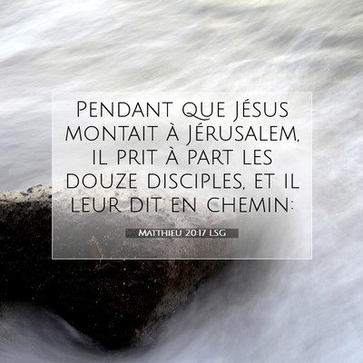 Picture 07 - Matthieu 20:17 LSG - Pendant que Jésus montait à Jérusalem, il prit - Bible Verse Picture
