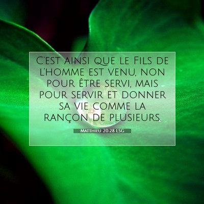 Picture 07 - Matthieu 20:28 LSG - C'est ainsi que le Fils de l'homme est venu, non - Bible Verse Picture