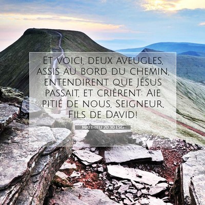 Picture 07 - Matthieu 20:30 LSG - Et voici, deux aveugles, assis au bord du chemin, - Bible Verse Picture