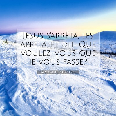 Picture 07 - Matthieu 20:32 LSG - Jésus s'arrêta, les appela, et dit: Que - Bible Verse Picture