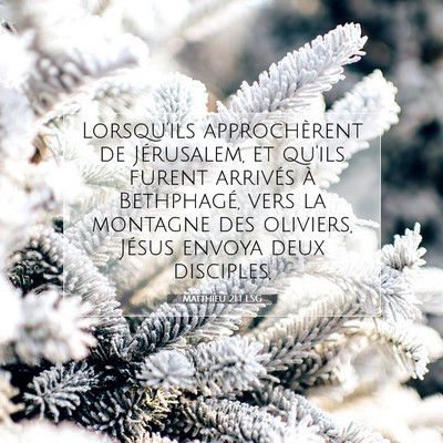 Picture 07 - Matthieu 21:1 LSG - Lorsqu'ils approchèrent de Jérusalem, et qu'ils - Bible Verse Picture