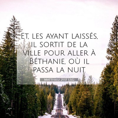 Picture 07 - Matthieu 21:17 LSG - Et, les ayant laissés, il sortit de la ville - Bible Verse Picture