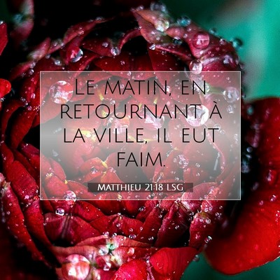Picture 07 - Matthieu 21:18 LSG - Le matin, en retournant à la ville, il eut - Bible Verse Picture