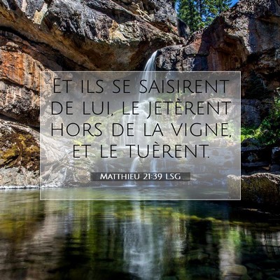 Picture 07 - Matthieu 21:39 LSG - Et ils se saisirent de lui, le jetèrent hors de - Bible Verse Picture