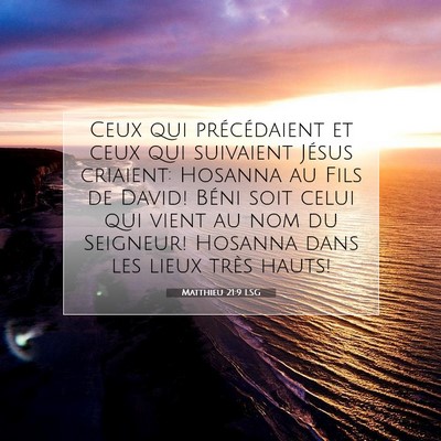 Picture 07 - Matthieu 21:9 LSG - Ceux qui précédaient et ceux qui suivaient - Bible Verse Picture
