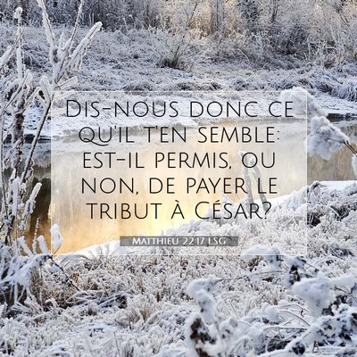 Picture 07 - Matthieu 22:17 LSG - Dis-nous donc ce qu'il t'en semble: est-il - Bible Verse Picture
