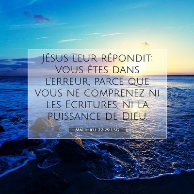 Picture 07 - Matthieu 22:29 LSG - Jésus leur répondit: Vous êtes dans l'erreur, - Bible Verse Picture