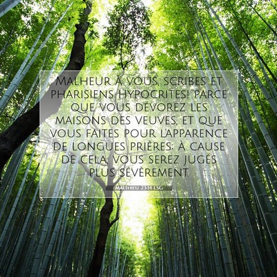 Picture 07 - Matthieu 23:14 LSG - Malheur à vous, scribes et pharisiens - Bible Verse Picture
