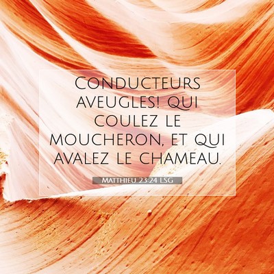 Picture 07 - Matthieu 23:24 LSG - Conducteurs aveugles! qui coulez le moucheron, et - Bible Verse Picture