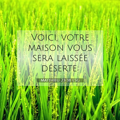 Picture 07 - Matthieu 23:38 LSG - Voici, votre maison vous sera laissée - Bible Verse Picture
