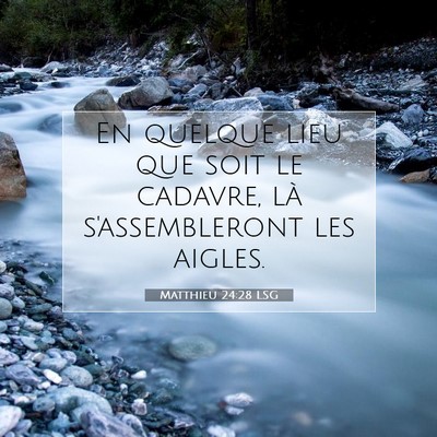 Picture 07 - Matthieu 24:28 LSG - En quelque lieu que soit le cadavre, là - Bible Verse Picture