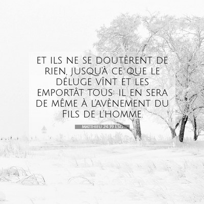 Picture 07 - Matthieu 24:39 LSG - et ils ne se doutèrent de rien, jusqu'à ce que - Bible Verse Picture