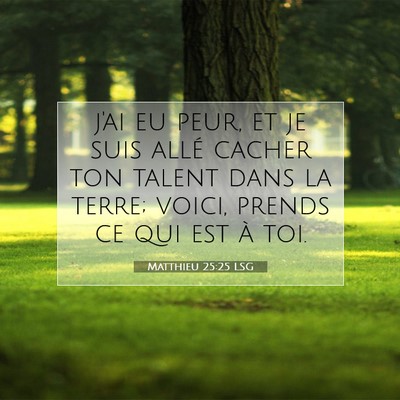 Picture 07 - Matthieu 25:25 LSG - j'ai eu peur, et je suis allé cacher ton talent - Bible Verse Picture