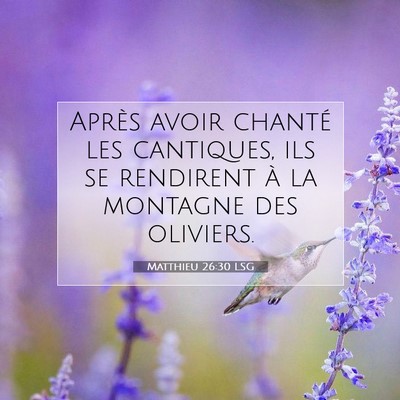 Picture 07 - Matthieu 26:30 LSG - Après avoir chanté les cantiques, ils se - Bible Verse Picture