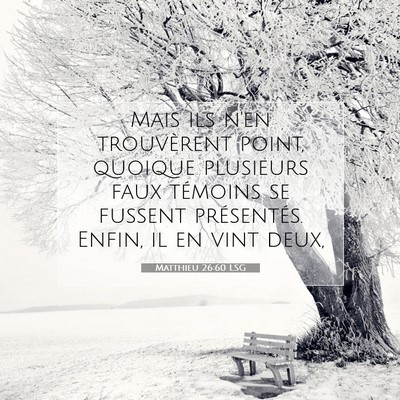 Picture 07 - Matthieu 26:60 LSG - Mais ils n'en trouvèrent point, quoique - Bible Verse Picture