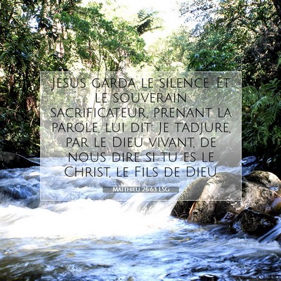 Picture 07 - Matthieu 26:63 LSG - Jésus garda le silence. Et le souverain - Bible Verse Picture