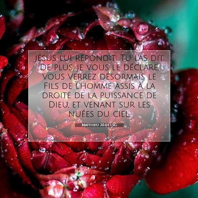 Picture 07 - Matthieu 26:64 LSG - Jésus lui répondit: Tu l'as dit. De plus, je - Bible Verse Picture