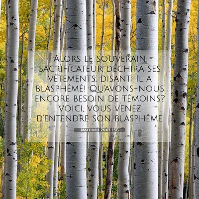 Picture 07 - Matthieu 26:65 LSG - Alors le souverain sacrificateur déchira ses - Bible Verse Picture