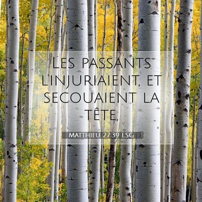 Picture 07 - Matthieu 27:39 LSG - Les passants l'injuriaient, et secouaient la - Bible Verse Picture