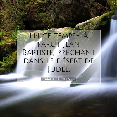 Picture 07 - Matthieu 3:1 LSG - En ce temps-là parut Jean Baptiste, prêchant - Bible Verse Picture