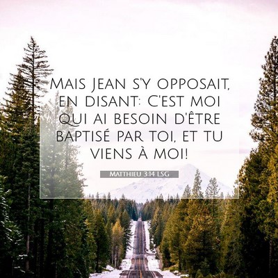 Picture 07 - Matthieu 3:14 LSG - Mais Jean s'y opposait, en disant: C'est moi qui - Bible Verse Picture