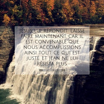 Picture 07 - Matthieu 3:15 LSG - Jésus lui répondit: Laisse faire maintenant, - Bible Verse Picture