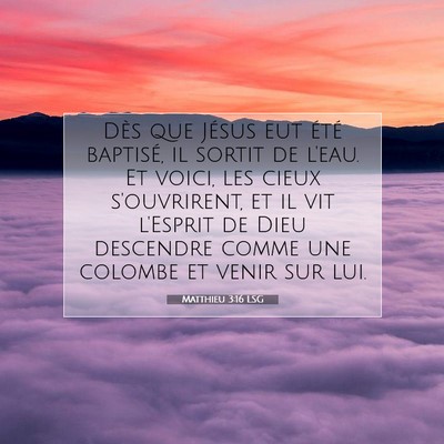 Picture 07 - Matthieu 3:16 LSG - Dès que Jésus eut été baptisé, il sortit de - Bible Verse Picture