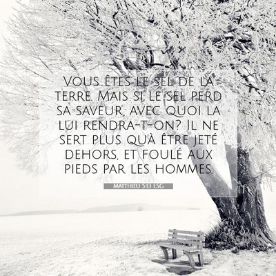 Picture 07 - Matthieu 5:13 LSG - Vous êtes le sel de la terre. Mais si le sel - Bible Verse Picture