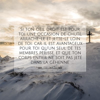 Picture 07 - Matthieu 5:29 LSG - Si ton oeil droit est pour toi une occasion de - Bible Verse Picture