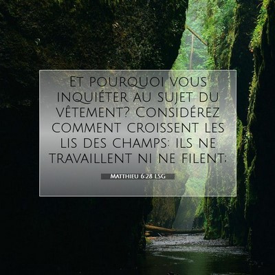 Picture 07 - Matthieu 6:28 LSG - Et pourquoi vous inquiéter au sujet du - Bible Verse Picture