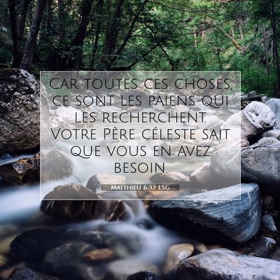 Picture 07 - Matthieu 6:32 LSG - Car toutes ces choses, ce sont les païens qui - Bible Verse Picture